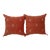Contemporary Red Brick Silk Sabra Pillow Covers- a Pair For Sale