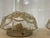 Vintage Mazzega Murano Glass Light Fixture - Flushmount For Sale - Image 12 of 12