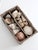 Vintage Collected Seashell Collection For Sale - Image 16 of 17