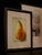 Paint Original Mix Media Painting of a Pear by Artist K. Compton For Sale - Image 7 of 8