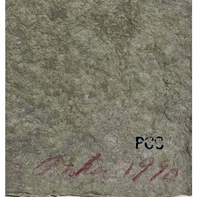 Suzanne Anker, Organic Abstract Cast Paper Sculpture Relief Painting Suzanne Anker, 1990 For Sale In Miami - Image 6 of 6