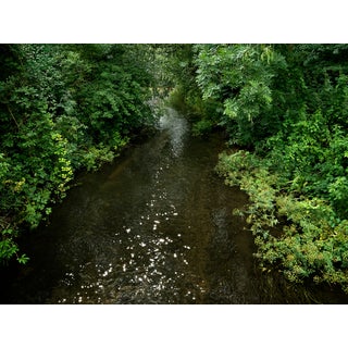 Ellie Davies, Chalk Streams 5, 2023, Photograph For Sale
