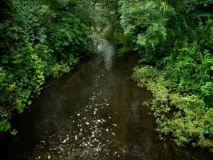 Ellie Davies, Chalk Streams 5, 2023, Photograph