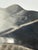 Vintage English Silver Mfg. Corp. Silverplate Scallop Shell Serving Dish For Sale In Atlanta - Image 6 of 8