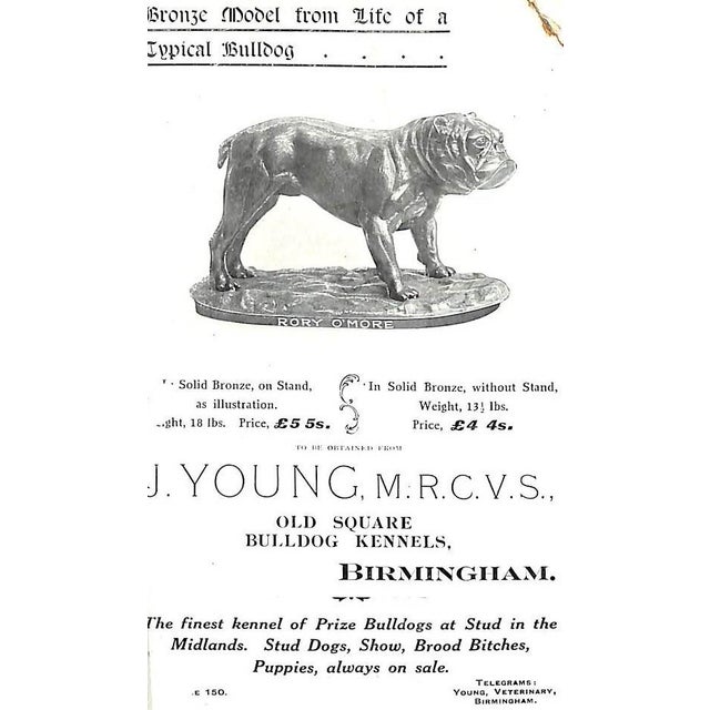 "Bull Dogs and Bulldog Men" 1905 Cooper, H. St. John For Sale - Image 11 of 12