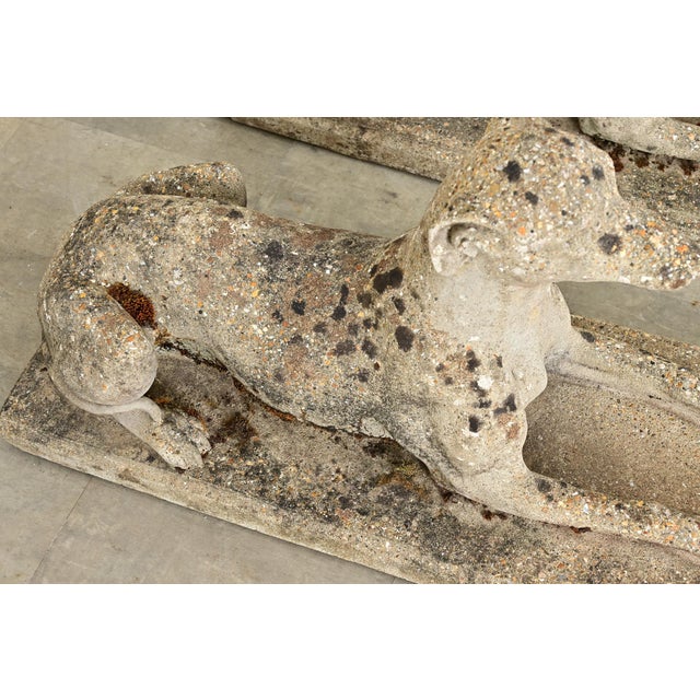 Sculpture Materials Early 20th Century English Pair of Cast Stone Whippet Garden Statues For Sale - Image 7 of 12