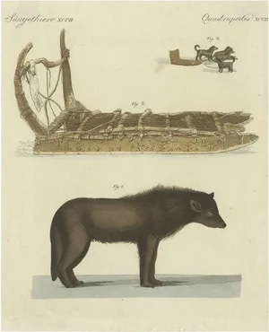 Dog from Baffin Bay Greenland and a Dog Sled, Paper