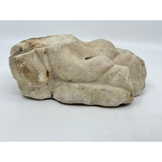 Antique Classical Marble Stone Fragment Lions Claw For Sale - Image 13 of 16
