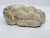 Antique Classical Marble Stone Fragment Lions Claw For Sale - Image 13 of 16