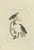 After Sepp & Nozeman, The Eurasian Nuthatch, 1829, Print For Sale