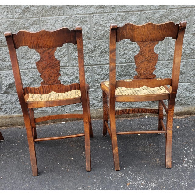 Wood Early American Tiger Wood and Cane Seat Chairs, Set of 4 For Sale - Image 7 of 12