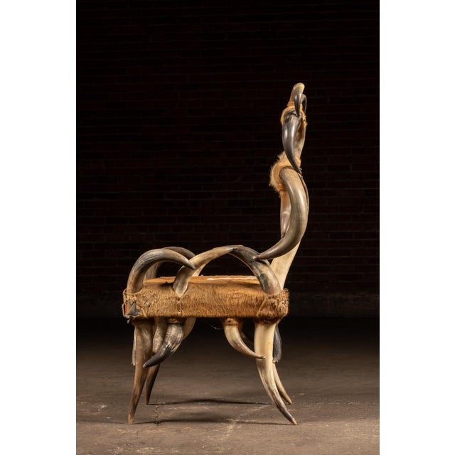 African Mid 20th Century Monumental Longhorn Horn Throne Chair For Sale - Image 3 of 13