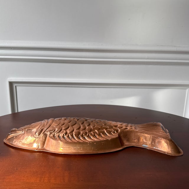 Italian Copper Fish Molds-- A Pair For Sale - Image 10 of 18
