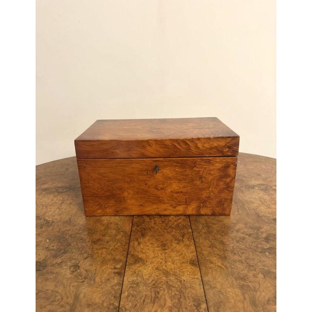 Wood Large Antique Regency Walnut Tea Caddy, 1820 For Sale - Image 7 of 7