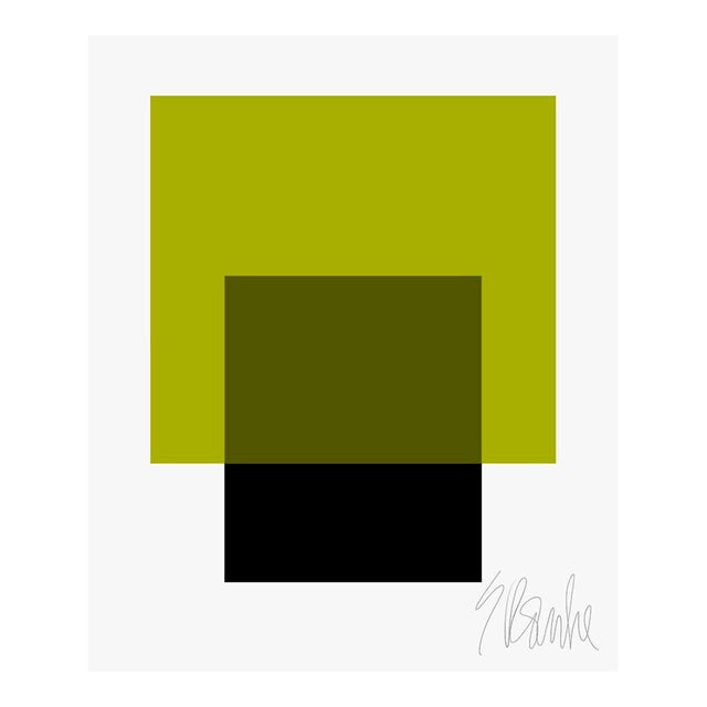 The Interaction of Black and Leaf Green Fine Art Print 25" X 30" by Liz Roache For Sale