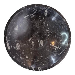 9.75” Orthoceras Fossil Bowl For Sale