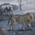 This photographic work presents a surreal landscape where wildlife coexists with elements of time and desolation, evoking...