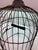 Antique Distressed Iron Dome Birdcage Decor For Sale - Image 12 of 14