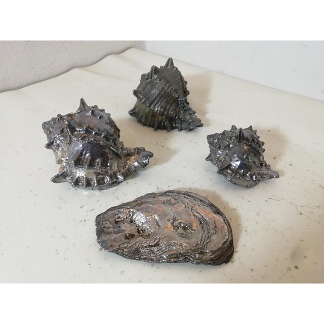 Silver-Plated Shells by Federico Buccellati, Italy, 1940s, Set of 4 For Sale - Image 13 of 13