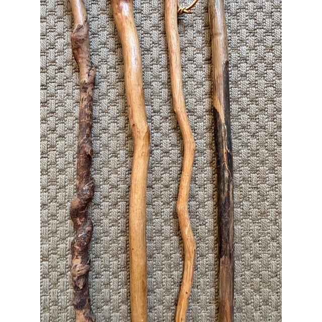 Rustic European Late 20th Century Set Four Rustic Twisted and Knobby Carved Walking Sticks For Sale - Image 3 of 8