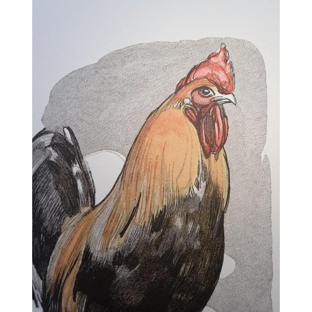 Paul jouve (1878-1973) the rooster woodcut, on rives paper sheet dimensions: approximately 38 x 28 cm image dimensions:...