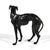 Bronze Whippet or Greyhound Dog Sculpture For Sale In Chicago - Image 6 of 12