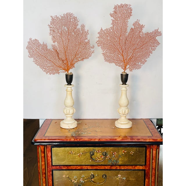 Organic Modern Pair of Sea Whip Branches on Alabaster Bases For Sale In Miami - Image 6 of 9