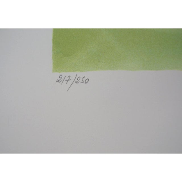 Yves Brayer, Course d'obstacles, Lithograph For Sale - Image 7 of 8