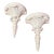 Vintage Palm Beach Regency Serge Roche Style High Gloss White Palm Brackets - Newly Painted For Sale