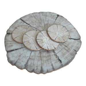 Birch Coasters, Set of 4 and 1 Placemat by Kim Seybert