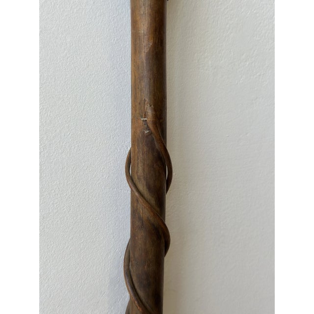 Antique Cane With Steam Bent Spiraling Branch Detail, Circa Early 20th Century For Sale - Image 13 of 16