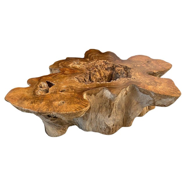 Andrianna Shamaris Impressive Organic Teak Wood Coffee Table For Sale - Image 15 of 18