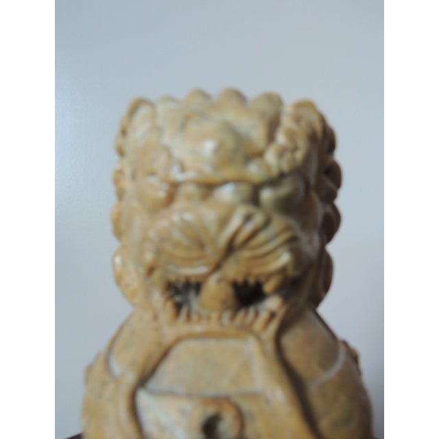 Mid 20th Century Natural Stone Asian Female Fu Dog For Sale - Image 10 of 13