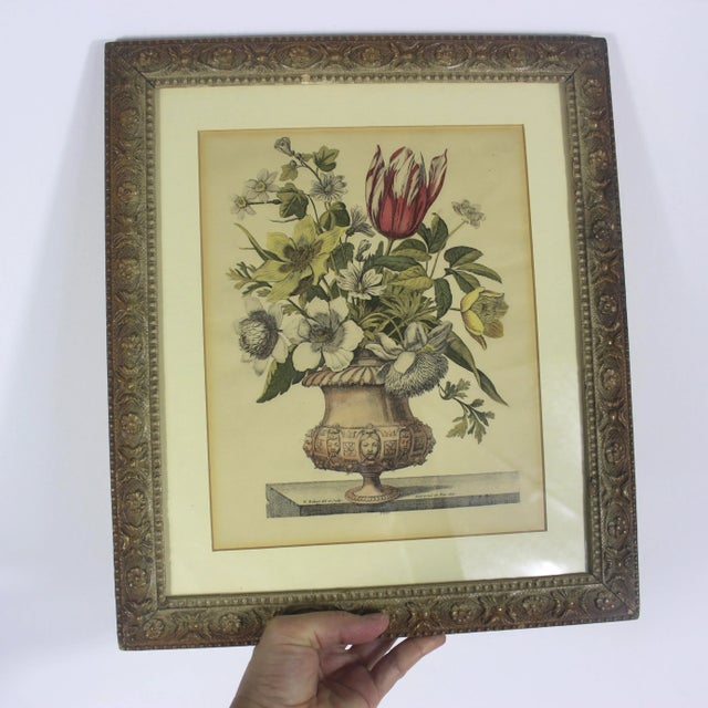Antique Coloured Botanical Illustration Engraving Antique Wood and Plaster Frame Floral French Art For Sale - Image 9 of 11