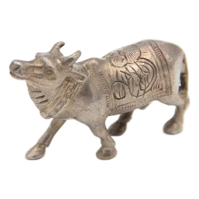 Silver Buffalo Miniature For Sale