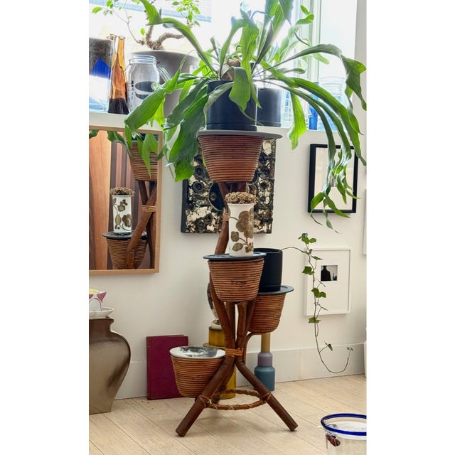 Circa 1965 Italian Bamboo and Rattan Plant Stand For Sale - Image 16 of 16