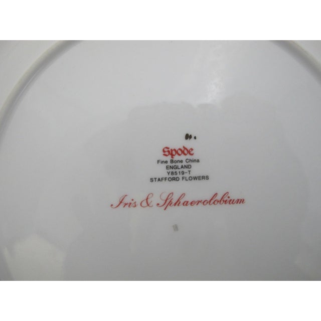 Spode Stafford Flowers Iris & Sphaerolobium Gilt Bone China Dinner Plate For Sale In Portland, OR - Image 6 of 7