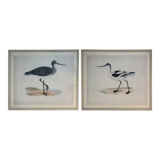 Oversized Ballard Designs Audubon Style Coastal Shorebird Prints – A Pair For Sale