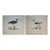 Oversized Ballard Designs Audubon Style Coastal Shorebird Prints – A Pair For Sale