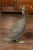 Mid-Century Modern Vintage Bronze Ducks Standing on Their Palmed Feet, circa 1940 - a Pair For Sale - Image 3 of 12