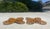 Vintage Rattan Butterfly Side Tables, a Pair of Boho-Chic Gems For Sale - Image 10 of 11