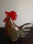 1980s Multicolor Speckled Art Glass Rooster Figurine For Sale In Dallas - Image 6 of 8