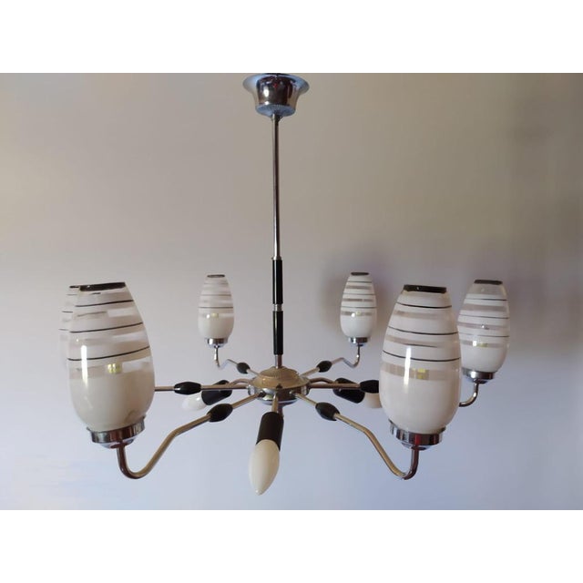 Mid-Century Chandelier, 1950s For Sale - Image 17 of 17