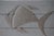 Metal Fish Skeleton from Jean-Claude Giorgi, 2000s For Sale - Image 4 of 13
