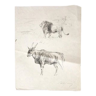 Wilhelm Lorenz - Gnu and Lion - Original Pencil On Paper by Wilhelm Lorenz - Mid-20th Century For Sale