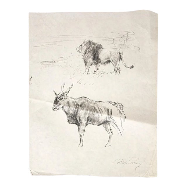 Wilhelm Lorenz - Gnu and Lion - Original Pencil On Paper by Wilhelm Lorenz - Mid-20th Century For Sale