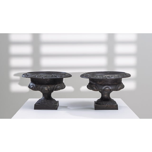 Pair of 19th Century French Cast Iron Planters. This elegant pair of French cast iron planters from the 19th century...