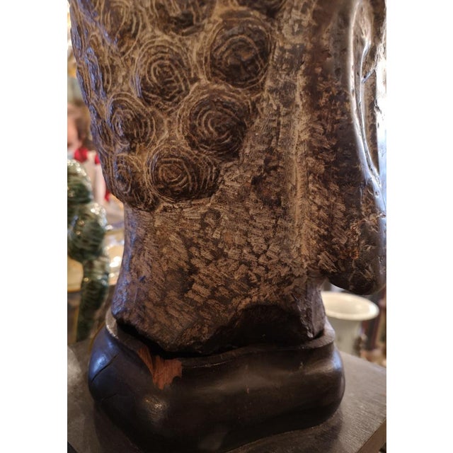 Cambodian Artist, Buddha Head Sculpture, 18th Century, Stone For Sale - Image 17 of 18