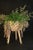 Contemporary 1990s Gathered Wood Branch Planter For Sale - Image 3 of 5