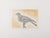 Maria Paletta, Carrier Pigeon, Etching For Sale - Image 6 of 6